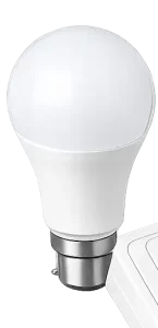 LED Bulbs